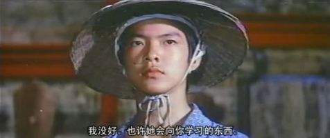 飞龙猛将元彪精彩动作,武打男明星元彪图片