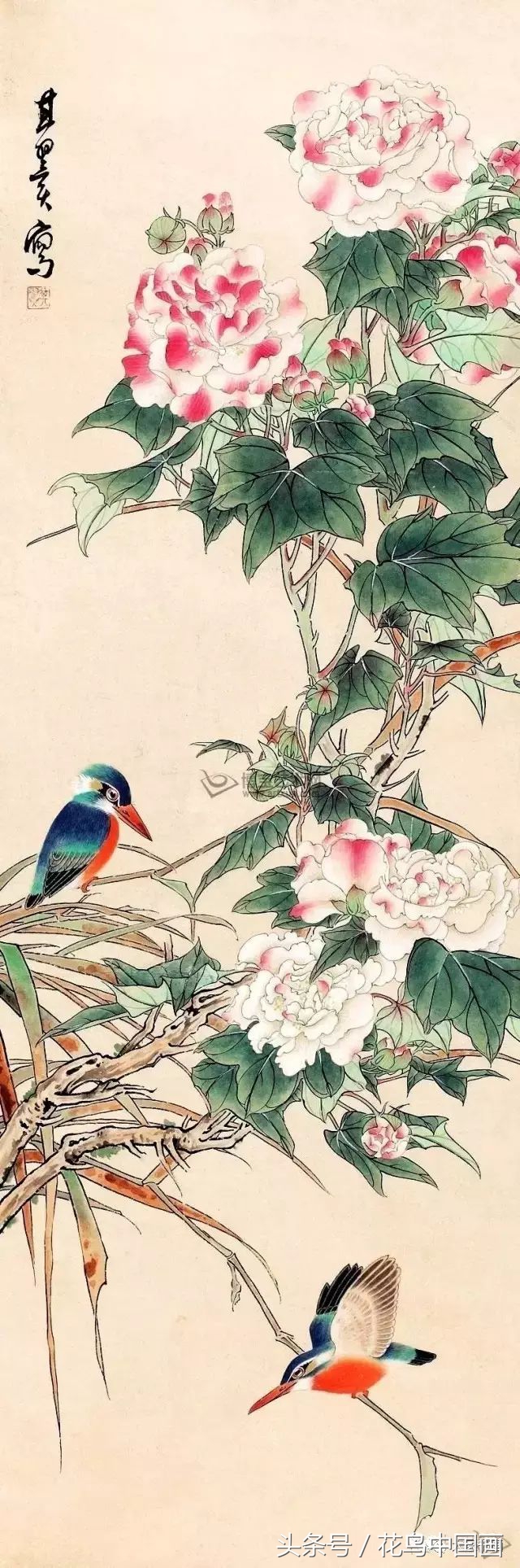 工笔国画白鸟的画法,写意花鸟羽毛技法