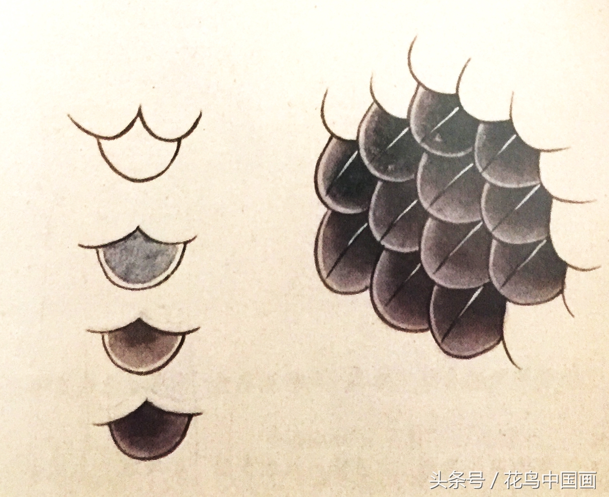 工笔国画白鸟的画法,写意花鸟羽毛技法