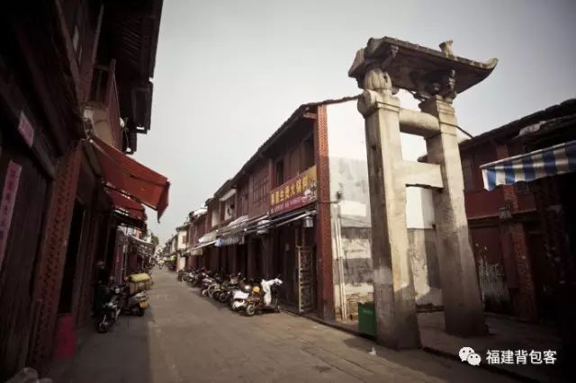 你们养的蛙现在回家了吗,养的蛙都去哪里了