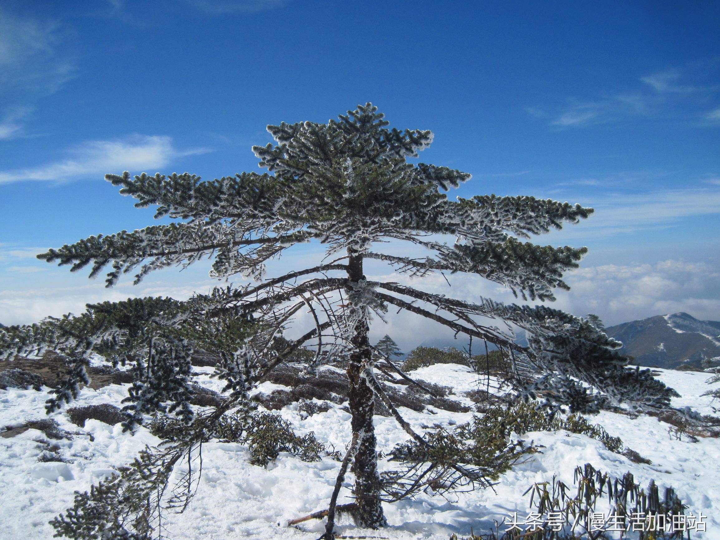 滇中轿子雪山风景区,滇中雪山