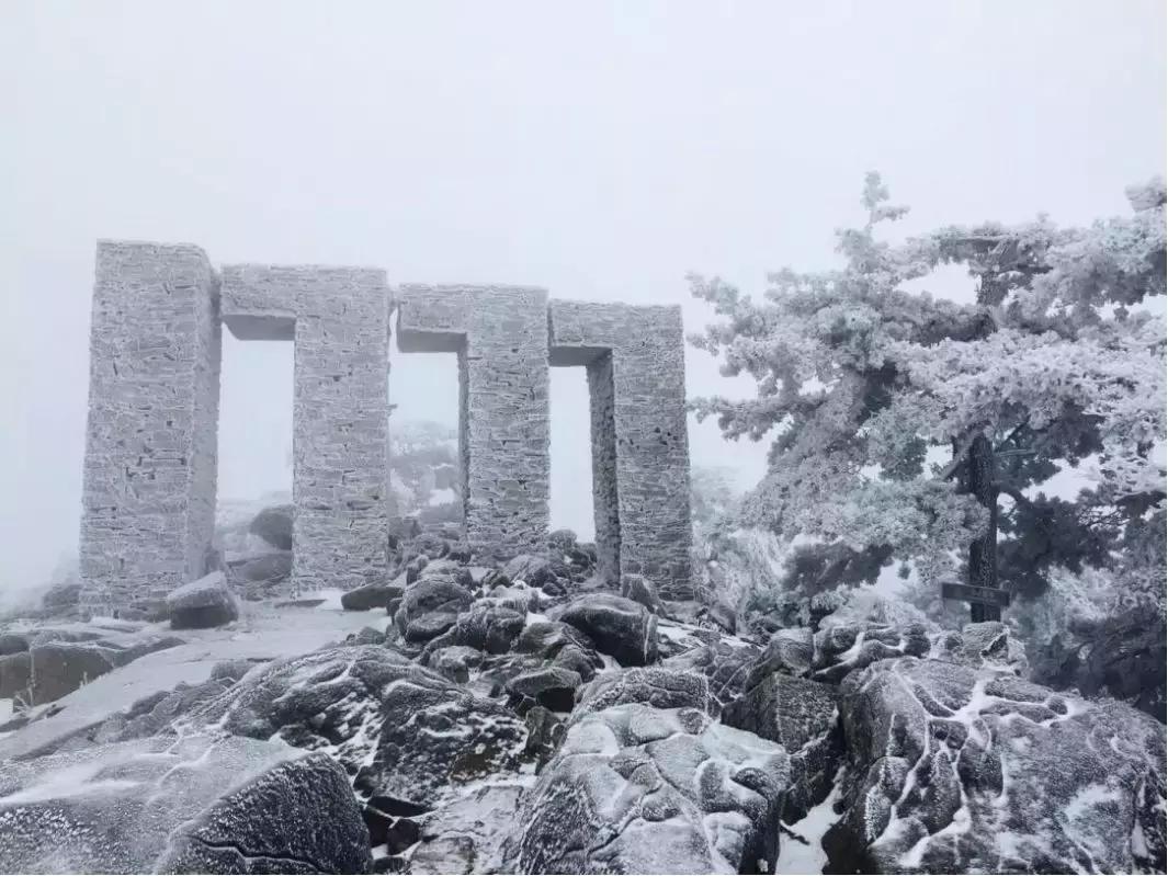 免费吃杀猪菜,吃免费的杀猪饭
