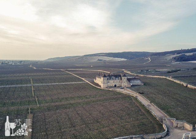 勃艮第和波尔多哪个好喝,勃艮第和波尔多酒杯