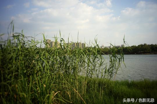 索尼a7c2配老镜头,老镜头转接