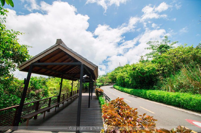 浪漫三亚视频,碧海蓝天椰风海韵浪漫三亚