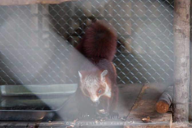 浪漫三亚视频,碧海蓝天椰风海韵浪漫三亚