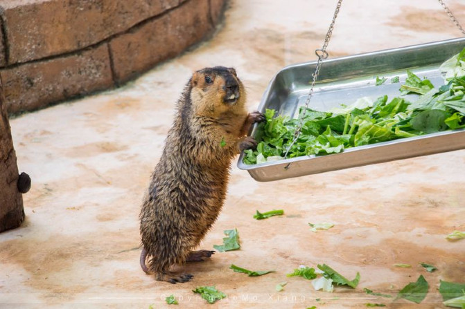 浪漫三亚视频,碧海蓝天椰风海韵浪漫三亚