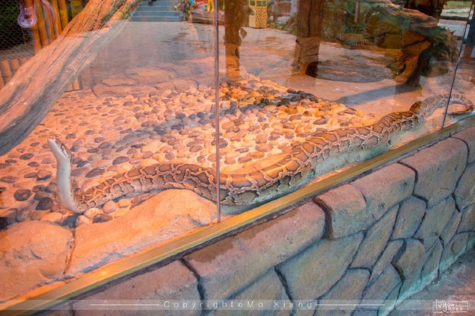 浪漫三亚视频,碧海蓝天椰风海韵浪漫三亚