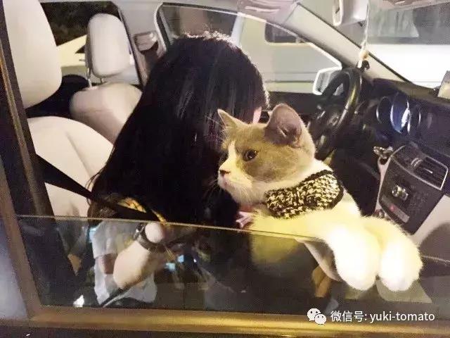 当我们探讨时我们在讨论什么,当我们谈论喝茶时我们在谈论什么