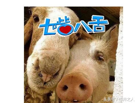 朋友圈10大low行为,朋友圈什么行为你反感