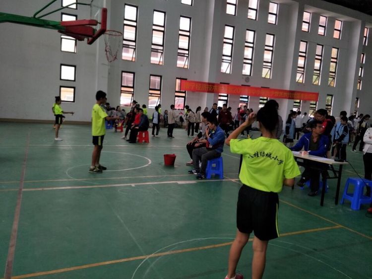 学生成长的沃土师生眷恋的乐园一一八桂绿城小学2017年工作汇报