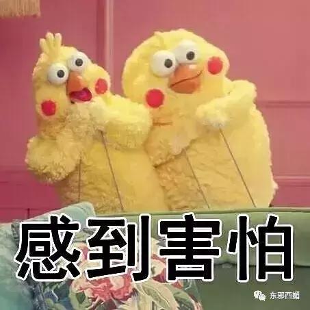 塑料姐妹情马苏,这是宝藏女孩原视频