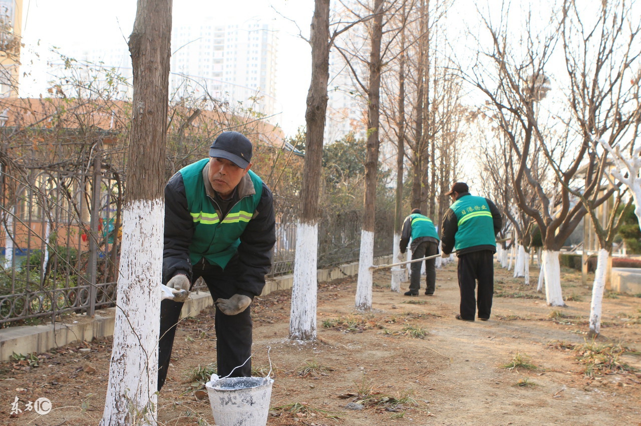 天气降温果树受冻,气温骤降果树如何才能度过严冬