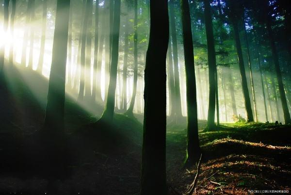 唐诗七言绝句大全500首,唐诗励志五言绝句大全