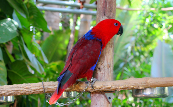 嗨游三亚,嗨皮的三亚最后一天