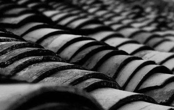 沼泽过滤和泥水养龟比较,泥水养龟怎样防水臭