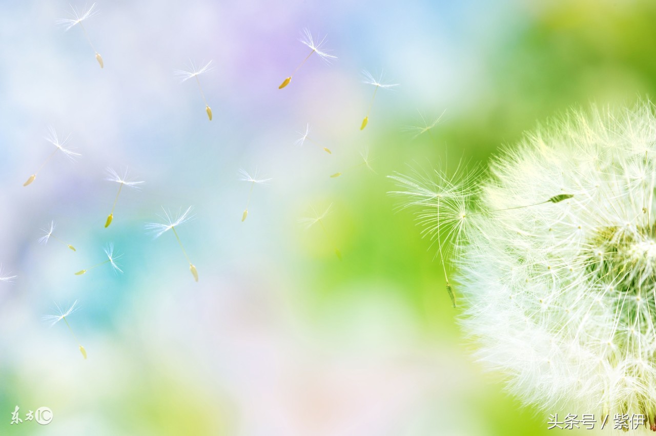 产后修复生了娃,生完孩子产后修复必要做的项目