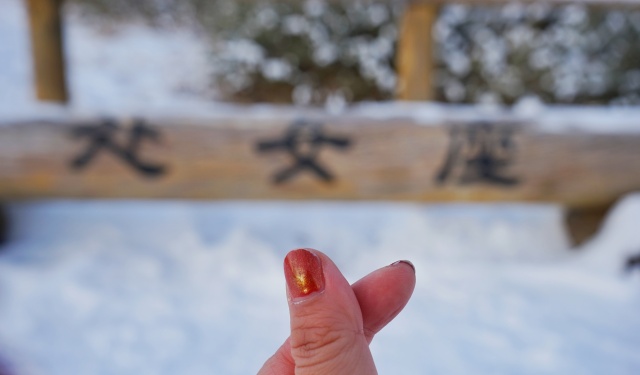 「新年目的地推荐一」金鸡之巅，边境梦雪，一路向北