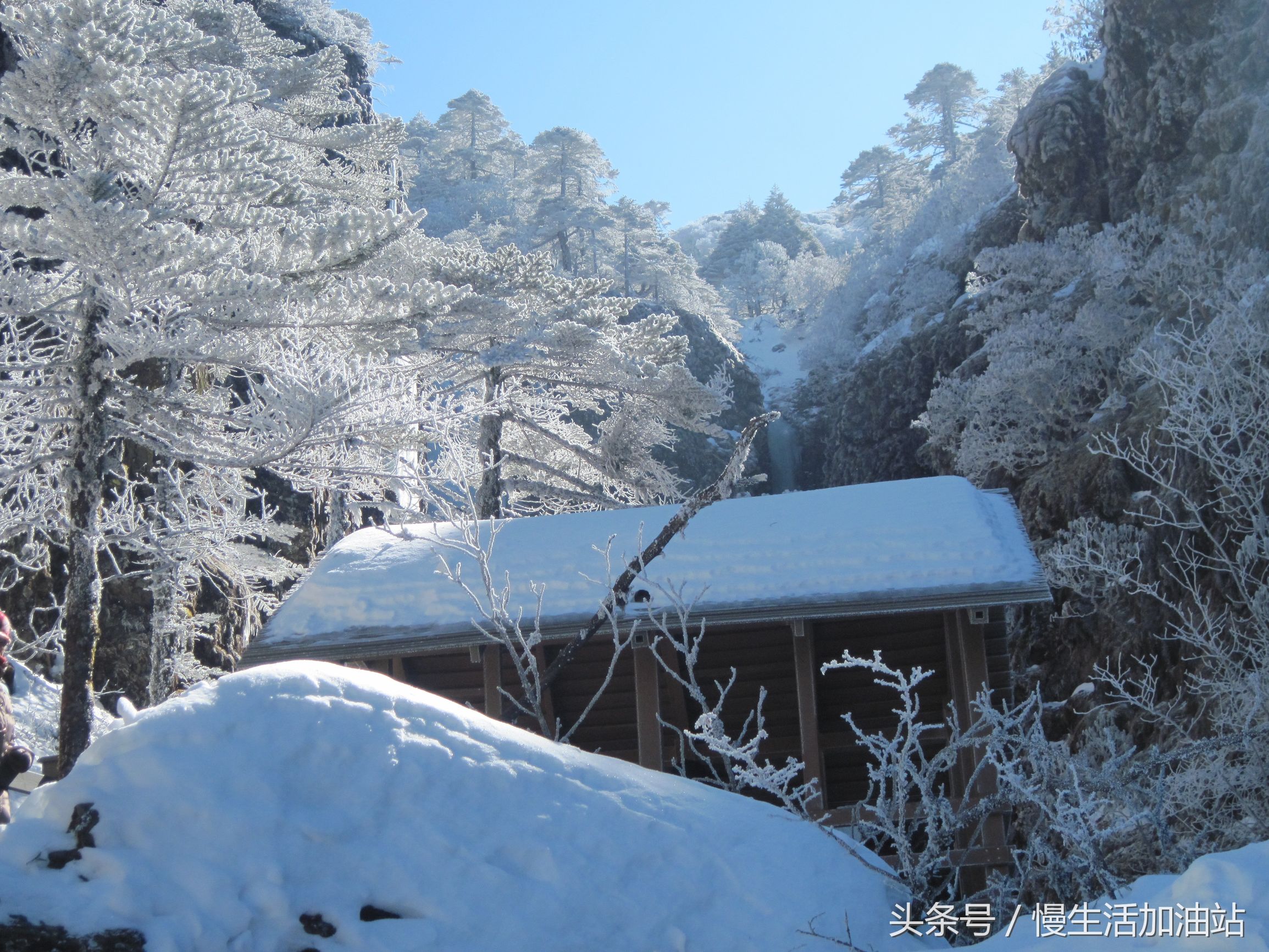 滇中轿子雪山风景区,滇中雪山