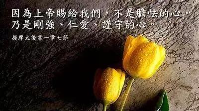 人生低落时该怎么做,面对自己的情绪低落怎么办