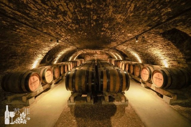 勃艮第和波尔多哪个好喝,勃艮第和波尔多酒杯