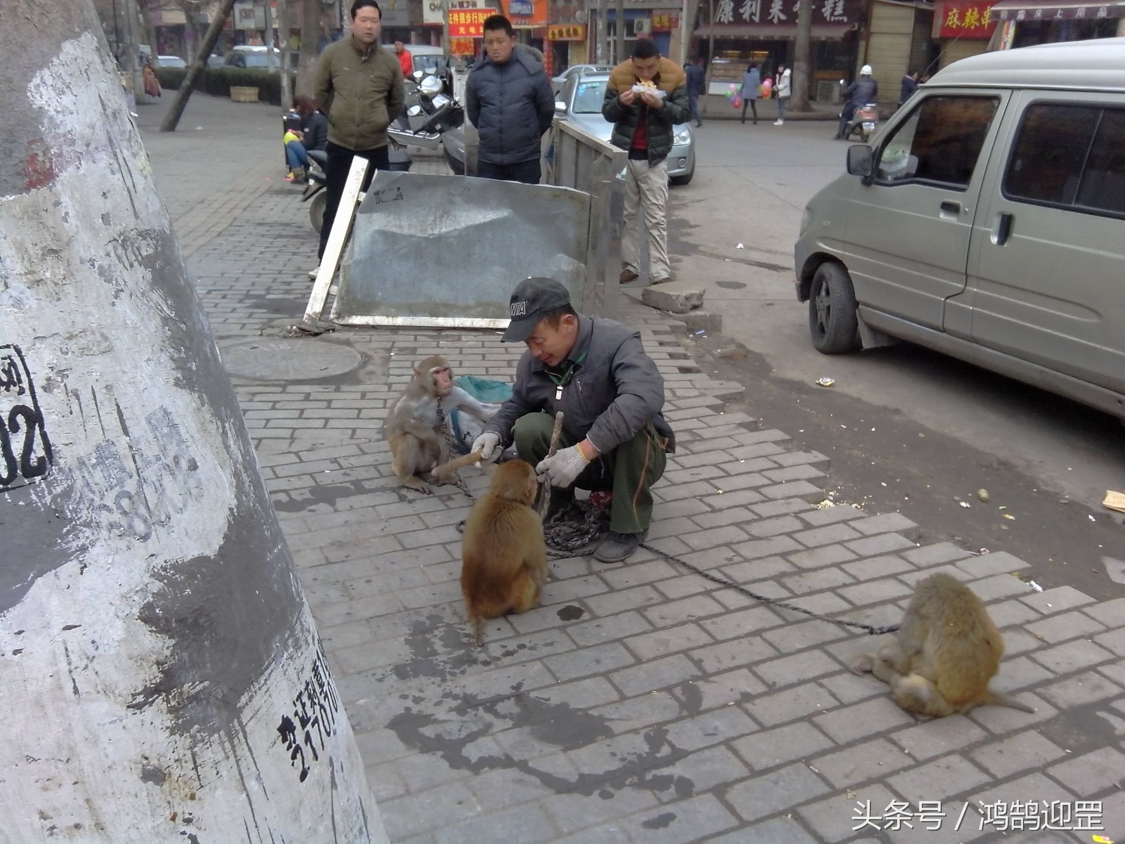“猴戏”即将退出生活舞台，带走了我们的乐趣和记忆