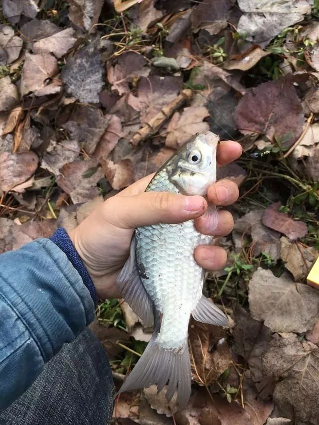 爆炸钩用好，你知道会有什么效果吗？