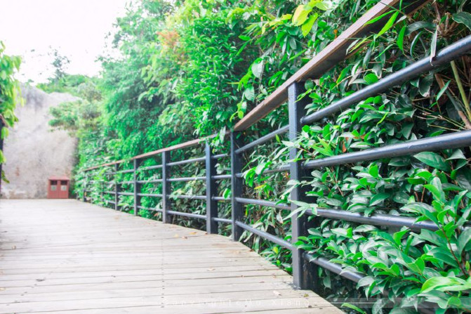 浪漫三亚视频,碧海蓝天椰风海韵浪漫三亚