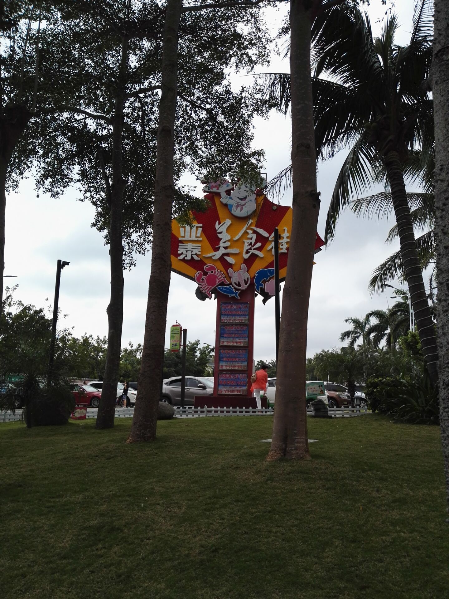 浪漫三亚视频,碧海蓝天椰风海韵浪漫三亚