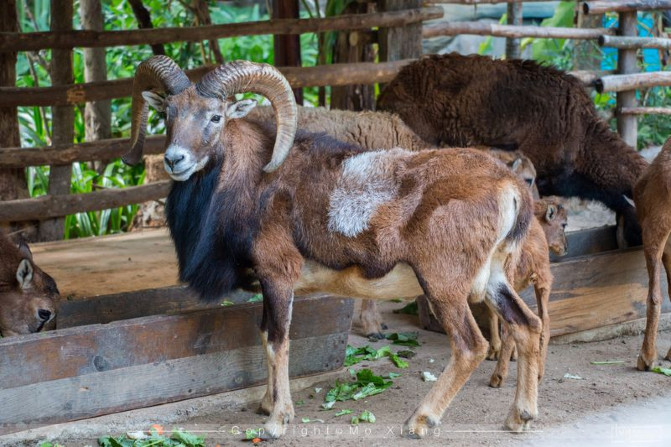 浪漫三亚视频,碧海蓝天椰风海韵浪漫三亚