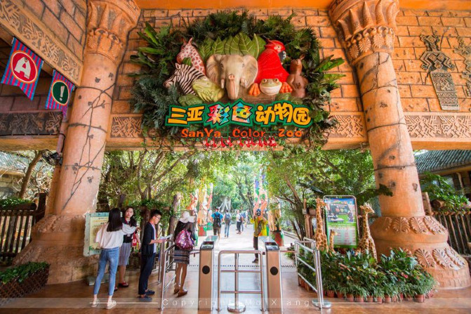 浪漫三亚视频,碧海蓝天椰风海韵浪漫三亚