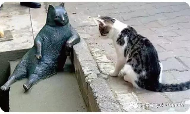 当我们探讨时我们在讨论什么,当我们谈论喝茶时我们在谈论什么