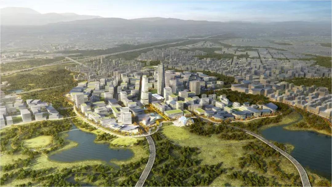 牛爆了原版视频,牛爆了