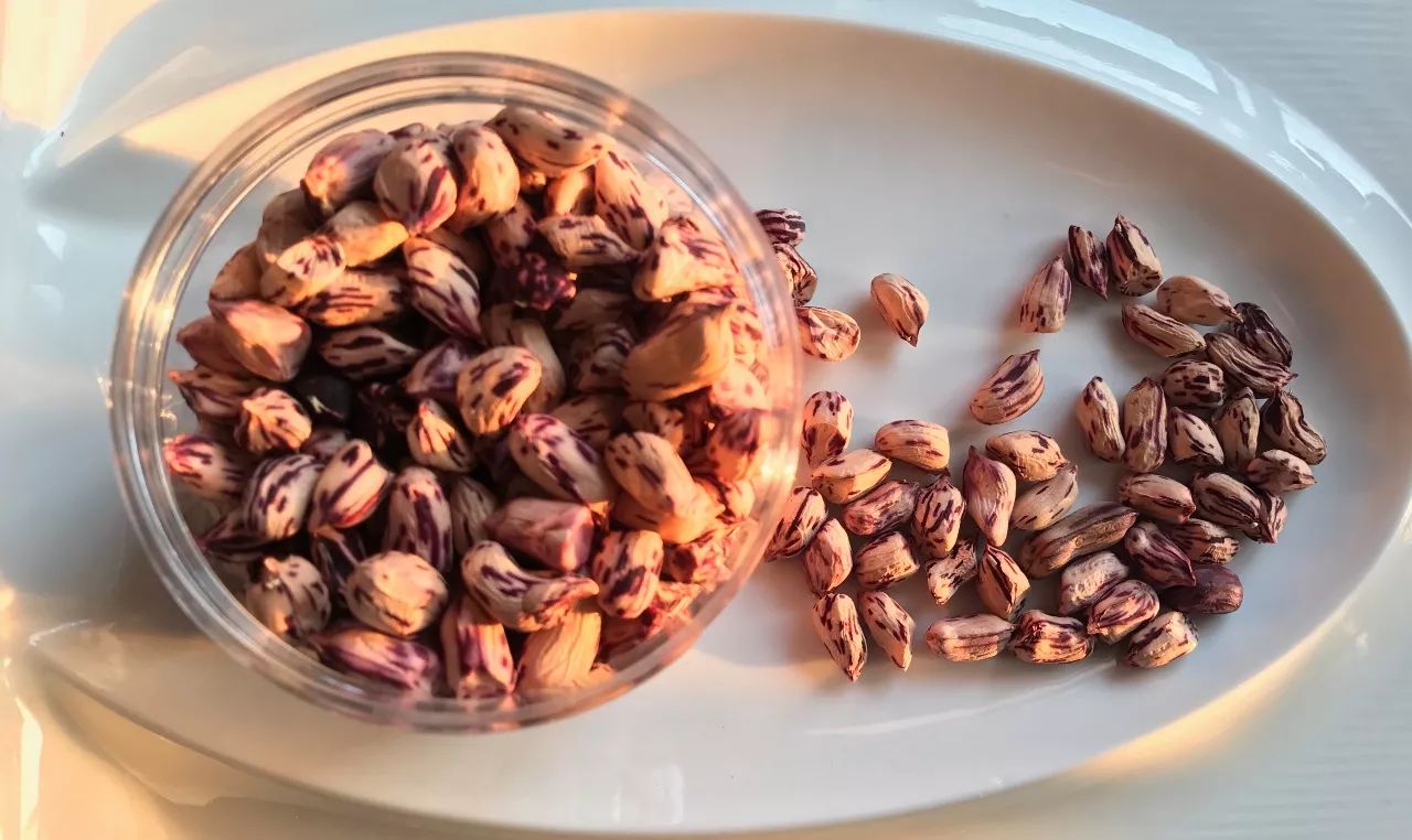 神鱼公主天然温泉照片,神鱼公主是谁