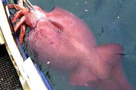 早产计算公式,早产两个月计算公式