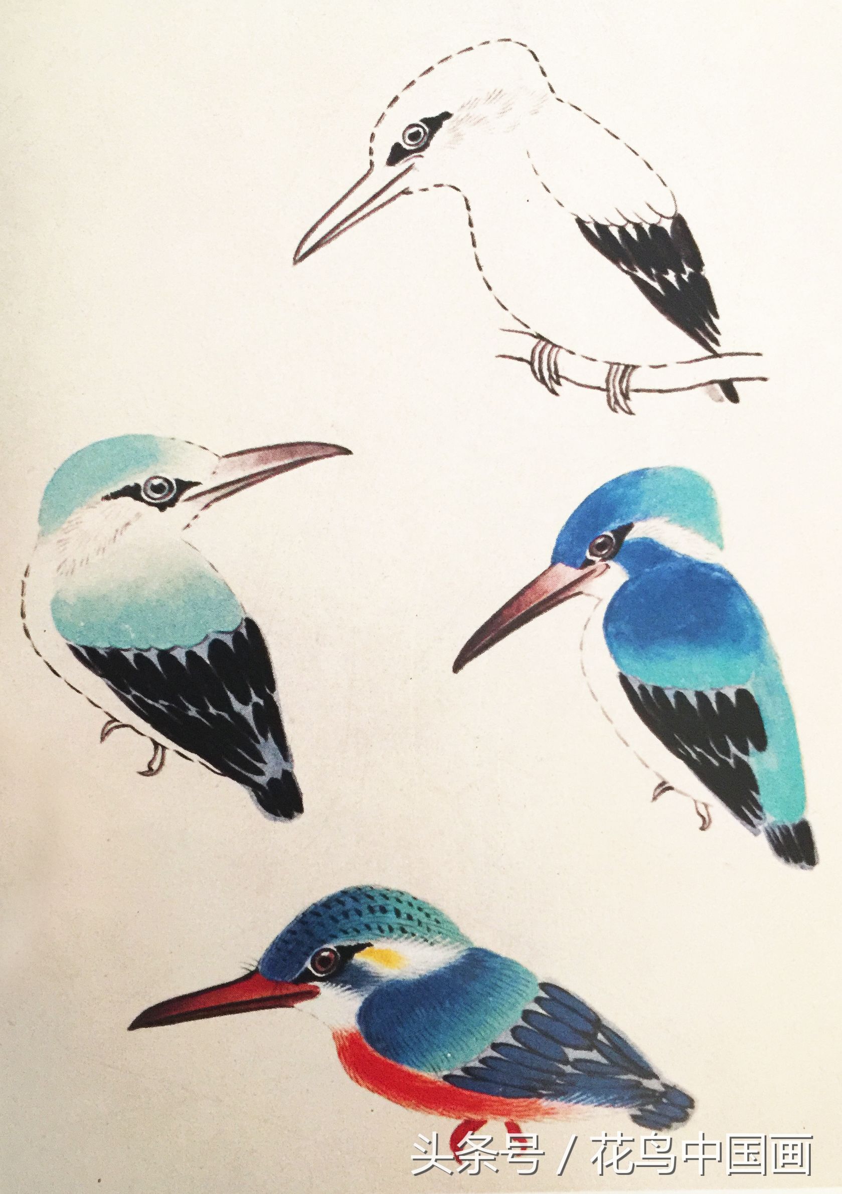 工笔国画白鸟的画法,写意花鸟羽毛技法