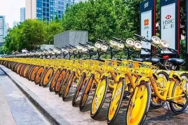 牛爆了原版视频,牛爆了