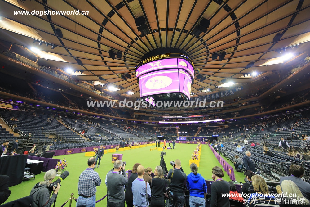 优良犬舍,中国优秀犬舍