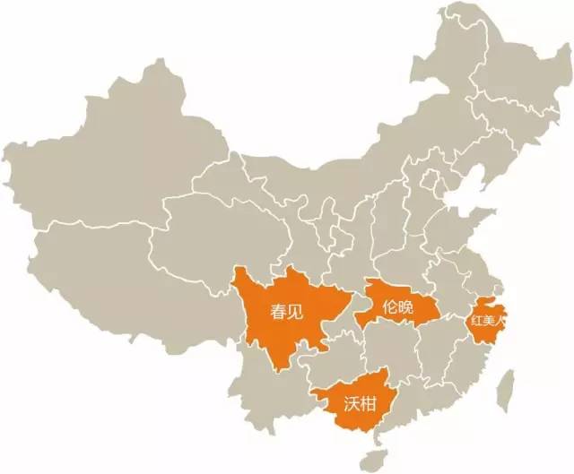 鏄ヨ鍜屾槑鏃ヨ鍜屾矁鏌戝摢涓洿濂藉悆,鏌戞鍥涘ぇ缇庝汉