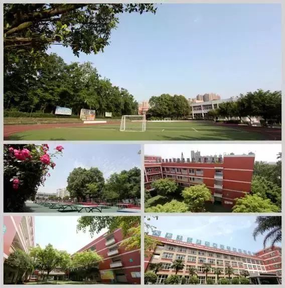 成都武侯区私立小学排名前十名,成都读公立小学还是私立小学好