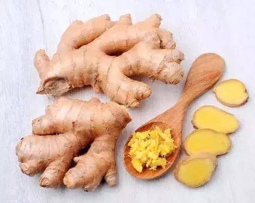 雪下得那么深那么认真下句怎么接,雪下得那么深那么认真全部歌词