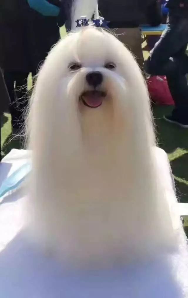 田丹最后一集画面,田丹最后什么结果