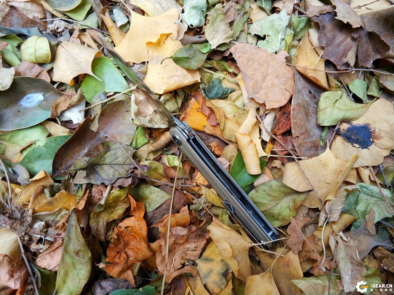 有没有一款双刃刀具，既是*刀折**，又能兼具捅刺和切削的优点呢？