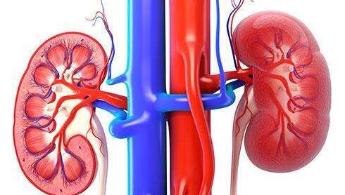 肝肾囊肿的原因和治疗方法,肾病肾囊肿怎么治疗