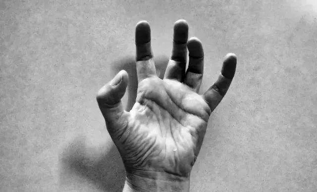 百芷集干货知识:春节自救指南之好好说话