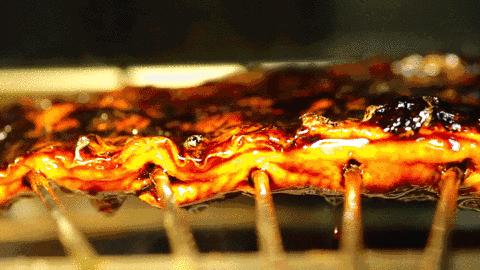 鳗鱼饭中的鳗鱼要灭绝了吗,好吃到停不下口的鳗鱼饭