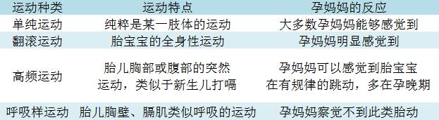 规律胎动在左边胎位正吗,很有规律的胎动胎儿在干什么
