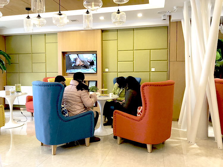 武汉月子中心体验,武汉月子中心服务体验