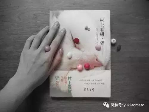 当我们探讨时我们在讨论什么,当我们谈论喝茶时我们在谈论什么