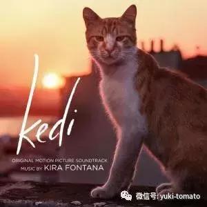 当我们探讨时我们在讨论什么,当我们谈论喝茶时我们在谈论什么